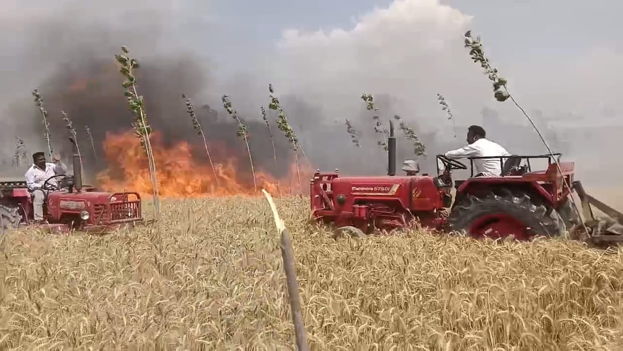 Dehradun News Fire started due to spark of short circuit, 10 bigha wheat crop burnt and destroyed