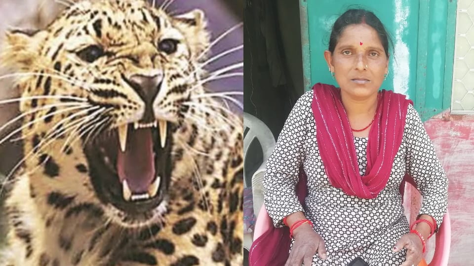 Uttarakhand Kotdwar News Woman Saved her life During Leopard Attack with Bravery
