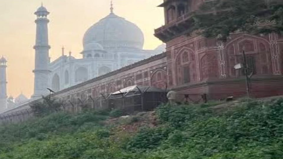 Tree branch broke and fell near Taj West Gate tourists narrowly escaped