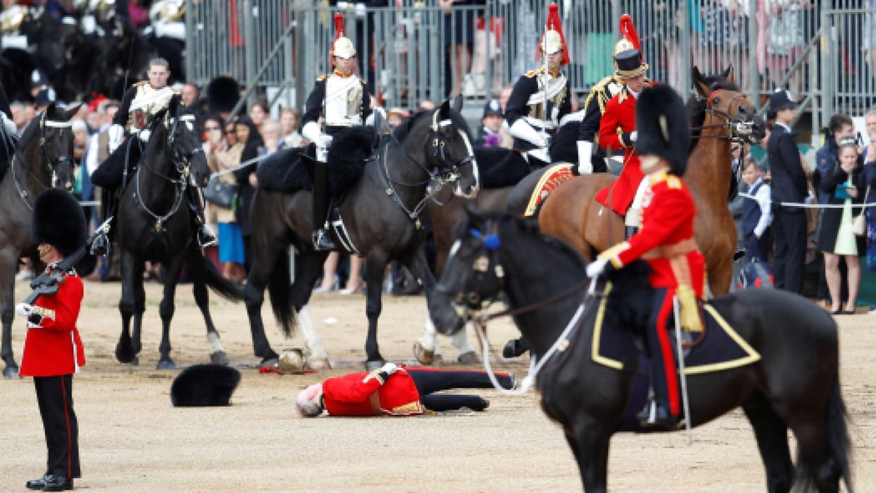 five runaway military horses cause mayhem in London