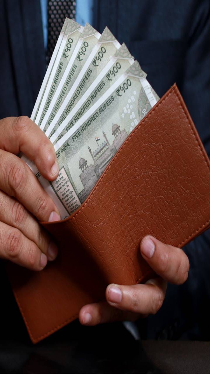 Investing in large caps is better decision for long term