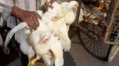 Jharkhand: H5N1 Avian Influenza detected in poultry of the area, RRT Team formed