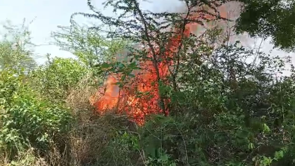 Fire broke out in forest of Bhudhariya Baba temple in mau