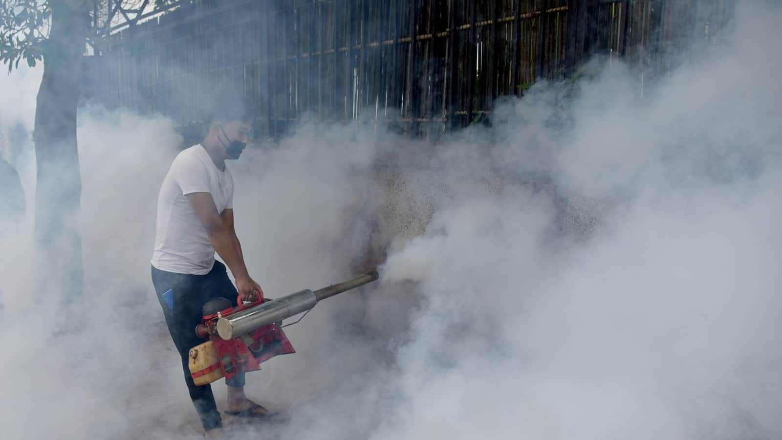 World Malaria Day 2024 Date Theme Ways To Prevent Form Malaria Spreading