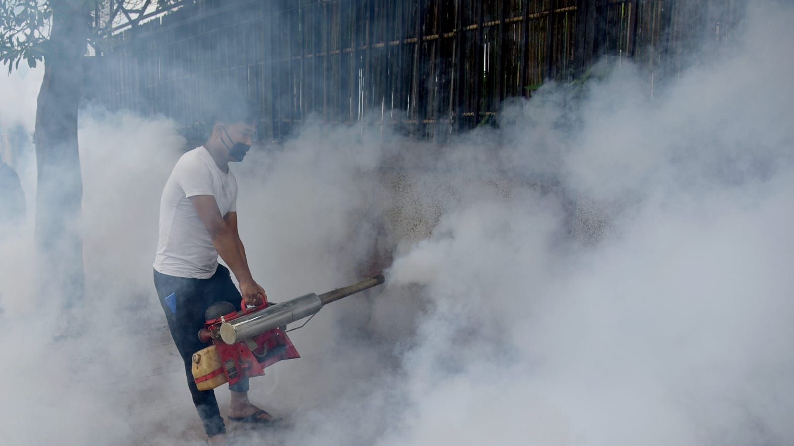 World Malaria Day 2024 Date Theme Ways To Prevent Form Malaria Spreading