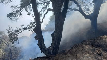 Uttarakhand Forest fire set to make reel DGP Abhinav Kumar said- Strict action will be taken
