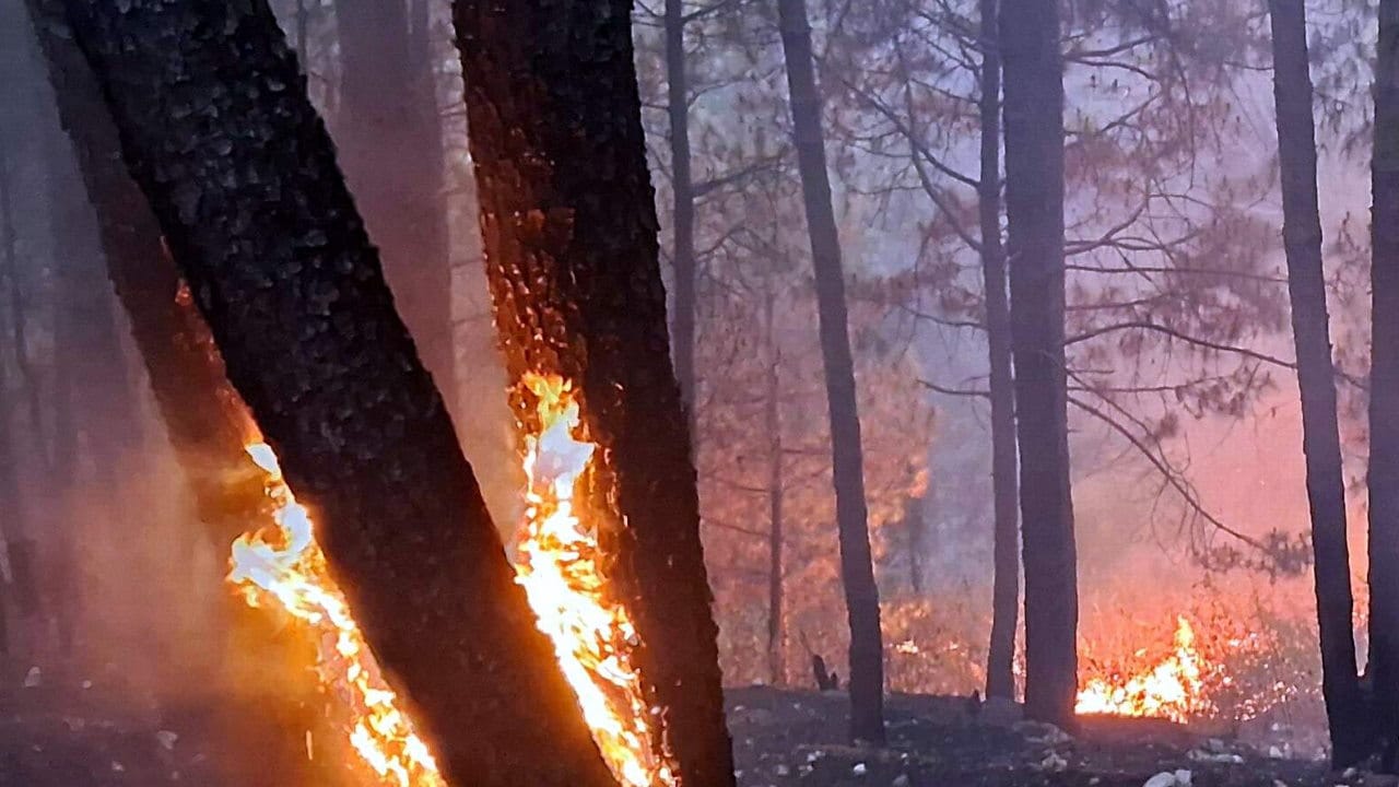 Uttarakhand forests burning Fire reached cantonment forest in Lansdowne Kotdwar army personnel took charge