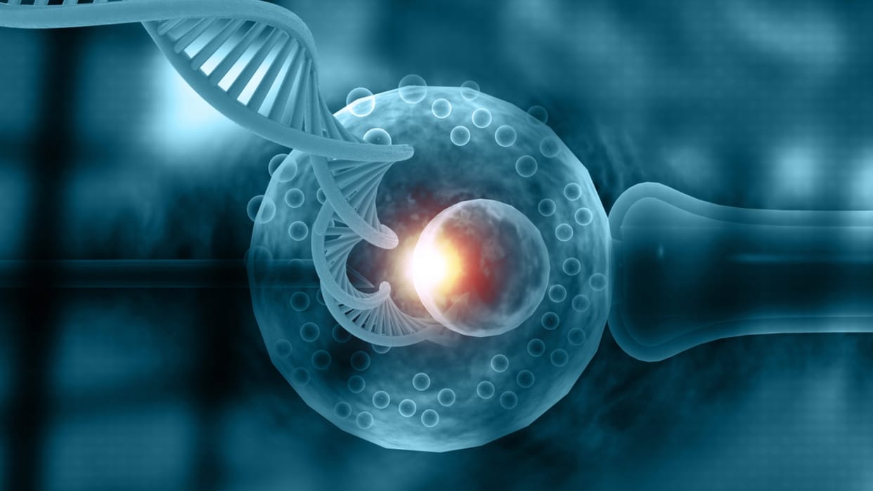 By changing eating habits and lifestyle, one can protect oneself from infertility