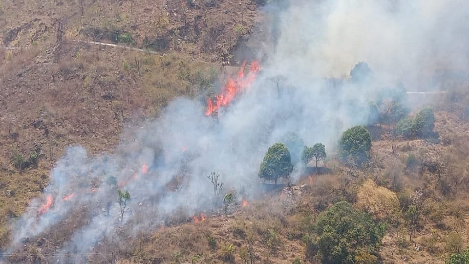 FIR will be registered against those who set fire in the forest in uttarakhand