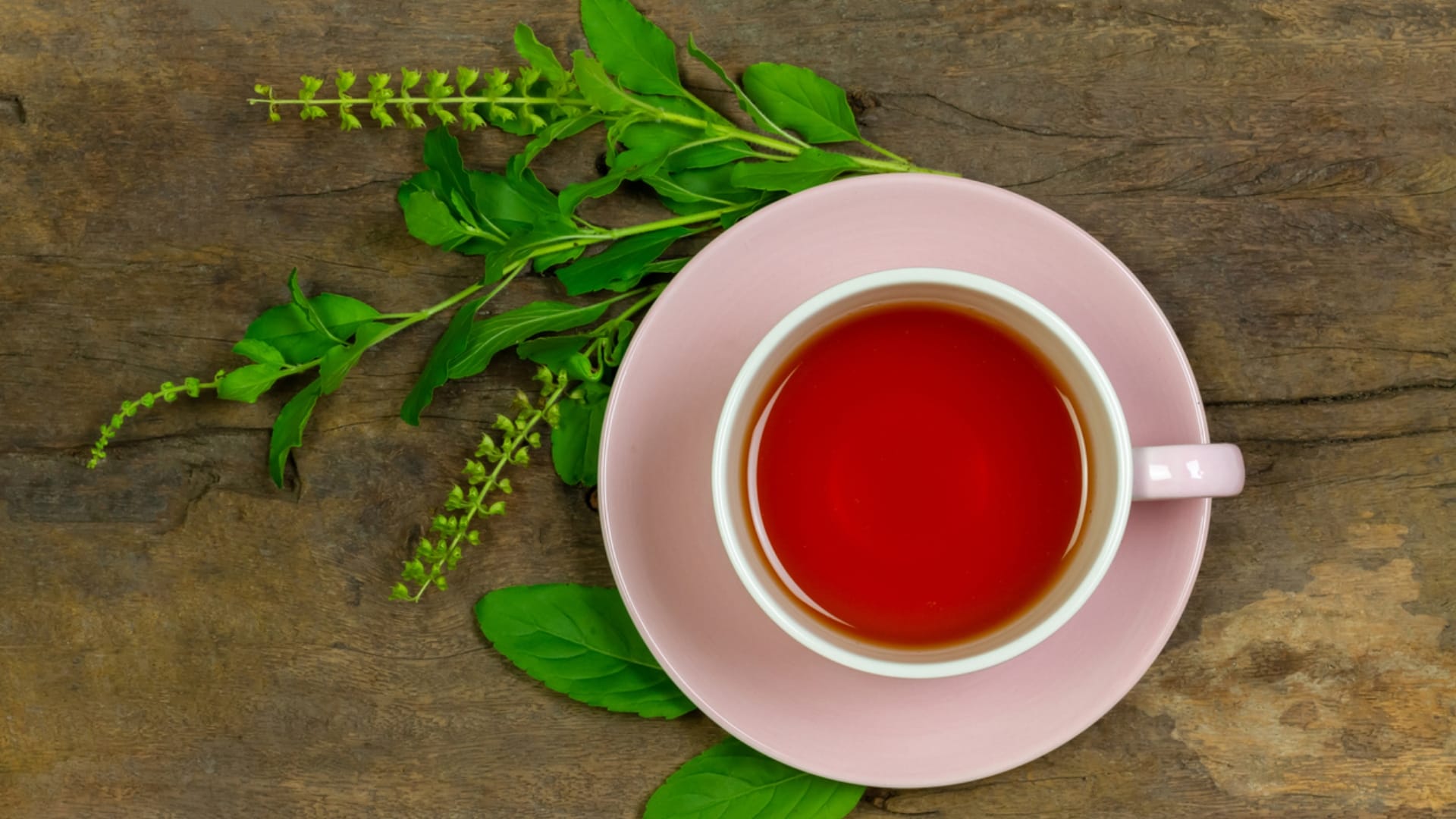 Health Benefits of Tulsi Plant how tulsi helps in blood pressure and sugar control
