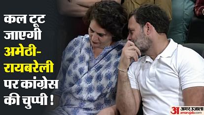 Congress may decide on Rahul candidature from Amethi and Priyanka candidature from Rae Bareli