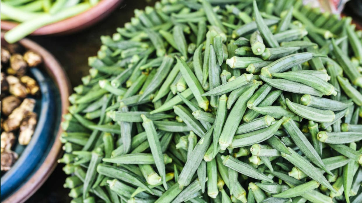 Okra from Sangam city in Saudi Arabia and Germany, chilli and bitter gourd will also