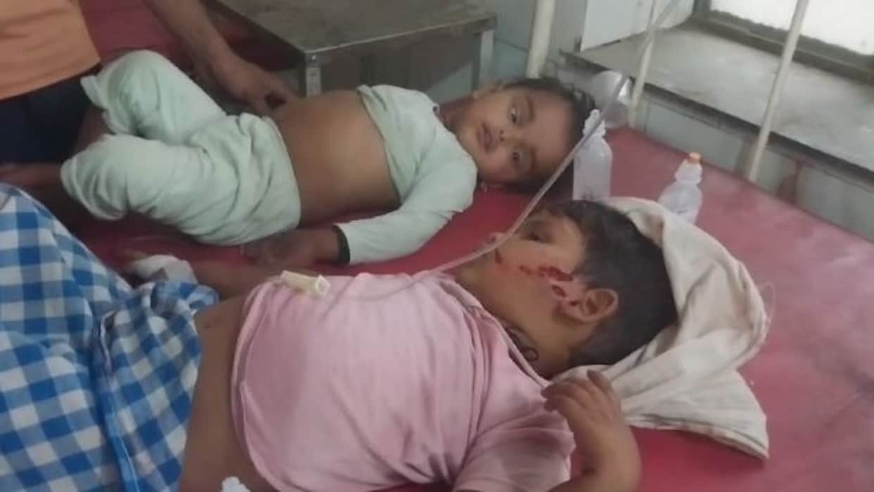 Dholpur News: Stray dogs bit innocent children, family members kept wandering in the hospital for treatment