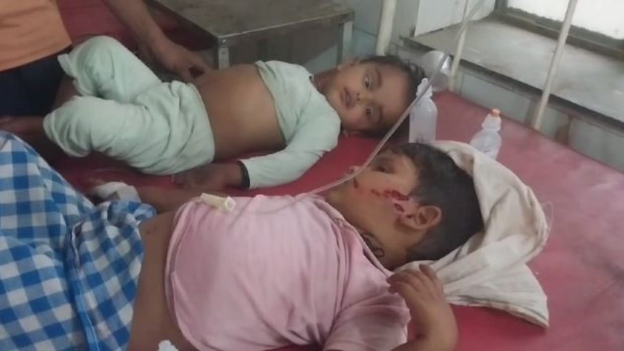 Dholpur News: Stray dogs bit innocent children, family members kept wandering in the hospital for treatment