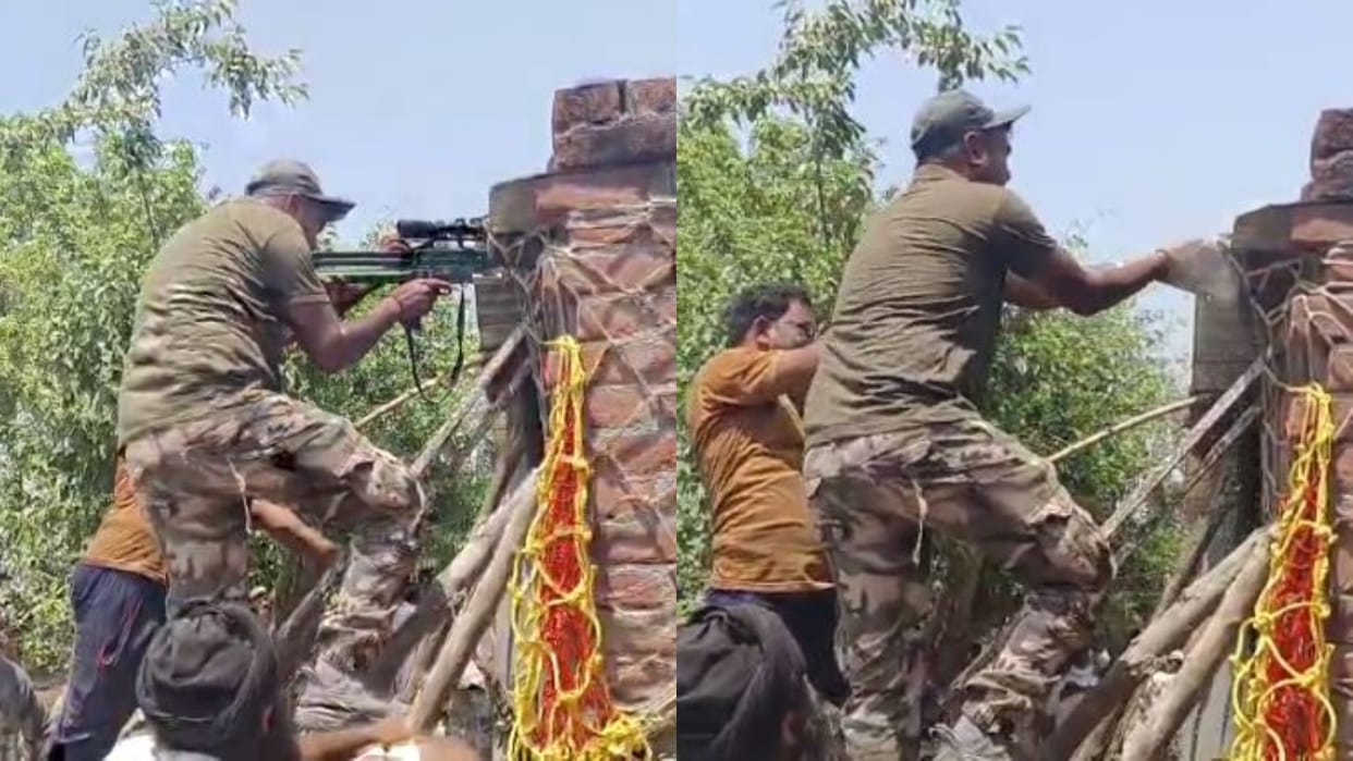 leopard pressed the tranquilizer gun into its mouth while rescue in lakhimpur kheri