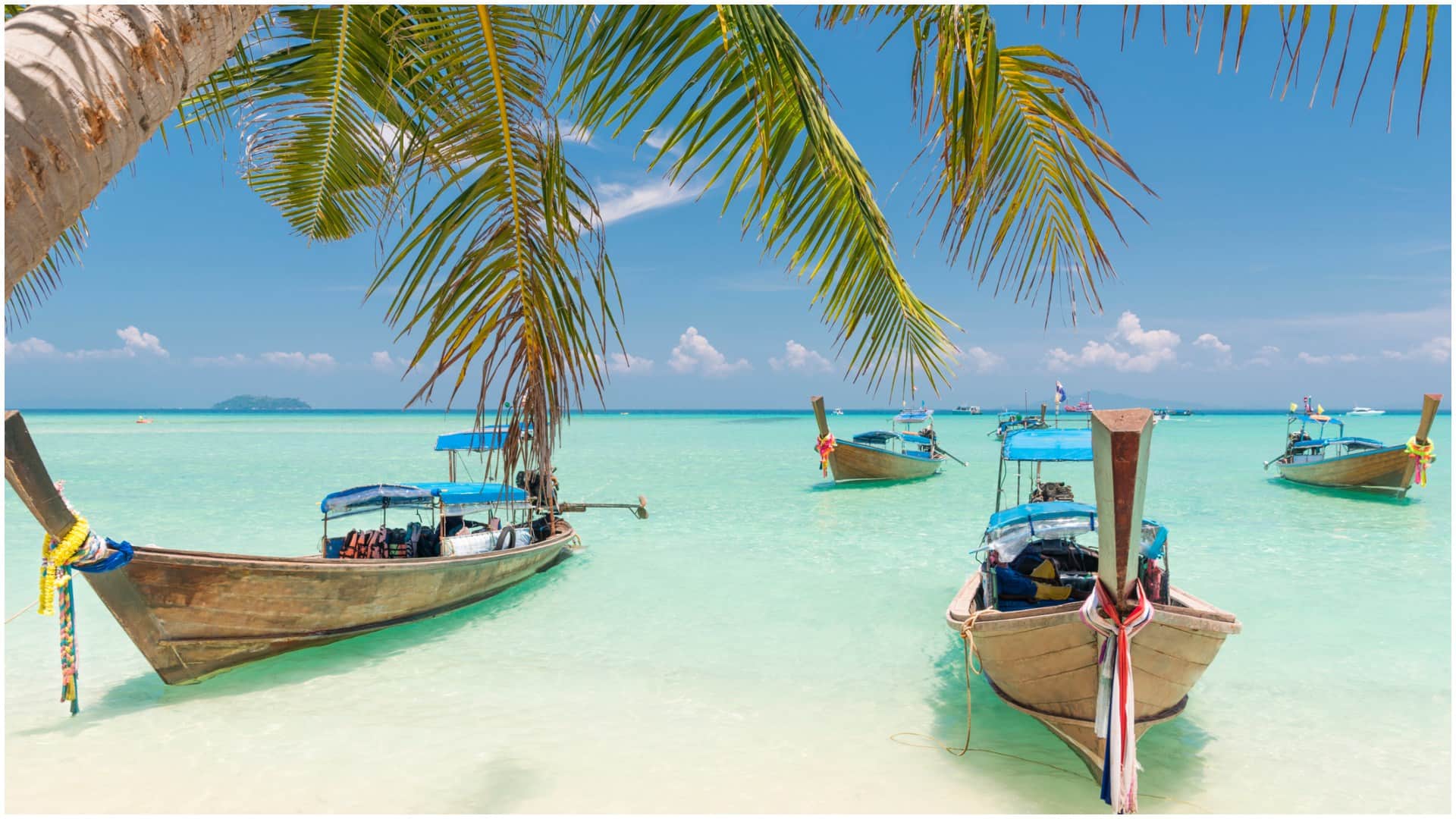 Year Ender 2024 Most Visited best Honeymoon Destinations in India For Couples favorite places