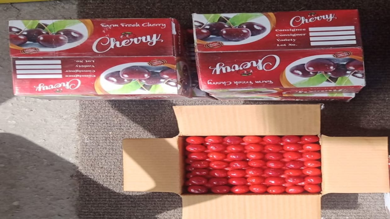 Himachali Cherry's explosive entry, sold at Rs 250 per kg on the first day