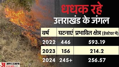 Forest Fire in Uttarakhand 2023 vs 2024: Fire Incidents Increased In Uttarakhand Compared To Last Year