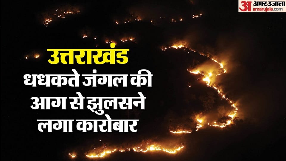 Nainital Forest Fire: Fire in Nainital increases concern of government and forest department