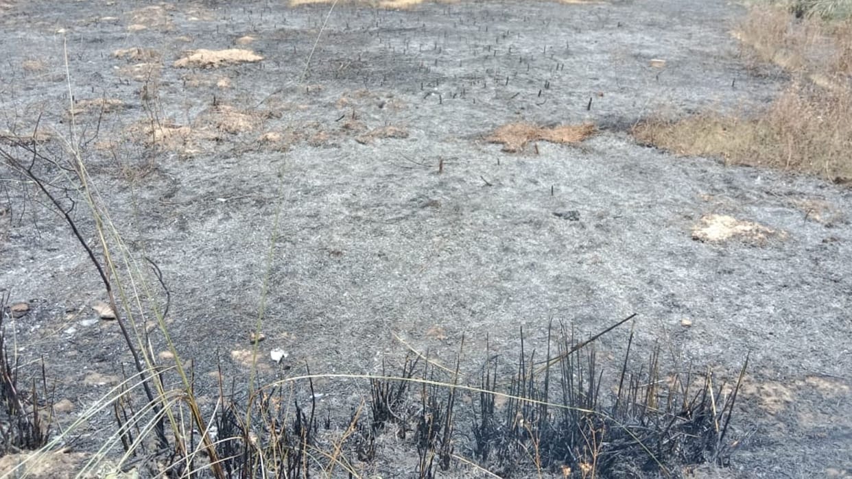 fire brigade not reach spot in Azamgarh crop burnt to ashes