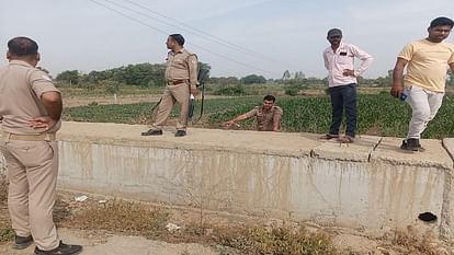 Monkey's dead body found in a sack on the highway