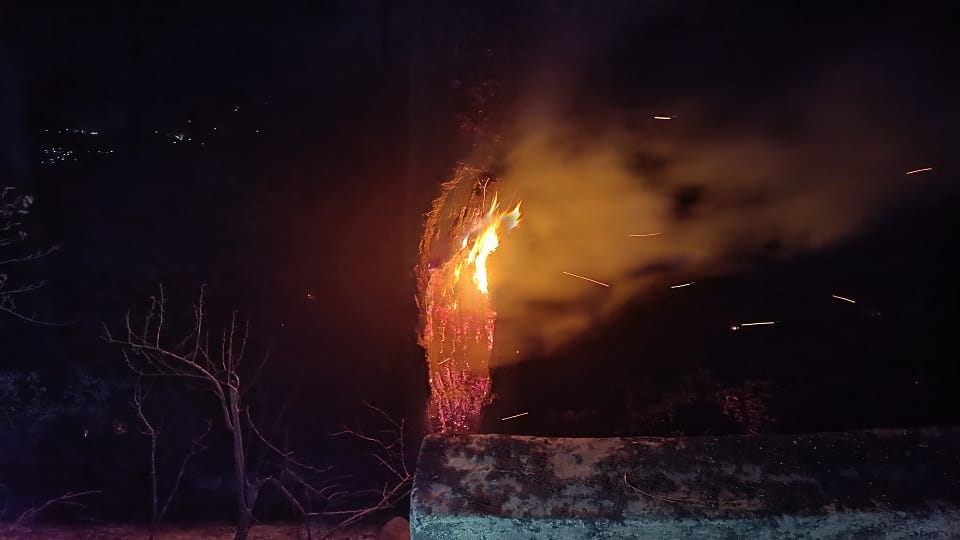 Forest Fire in Uttarakhand New cases of forest Fires Report in 31 places in last 24 hours News in Hindi