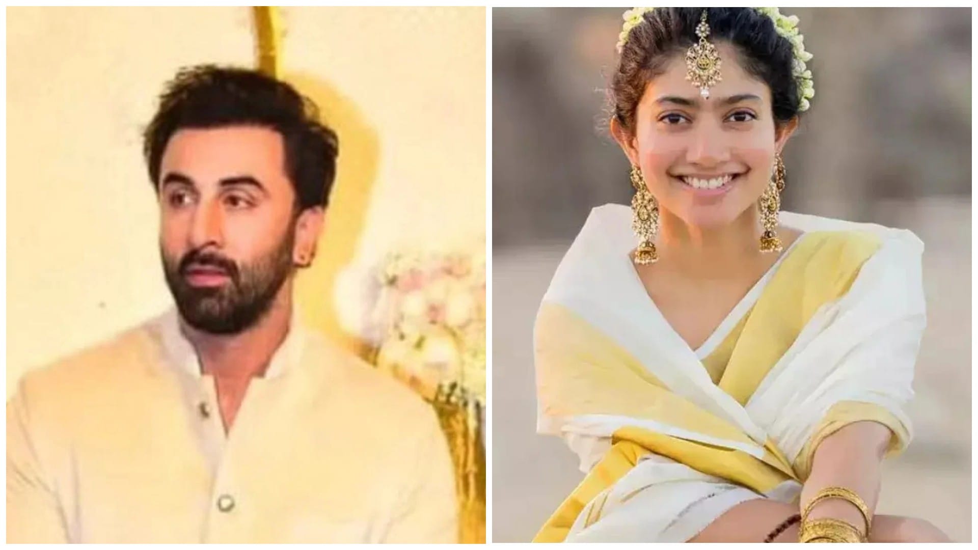 Sai Pallavi for an old video she said that the Indian army is considered a Terrorist group in Pakistan