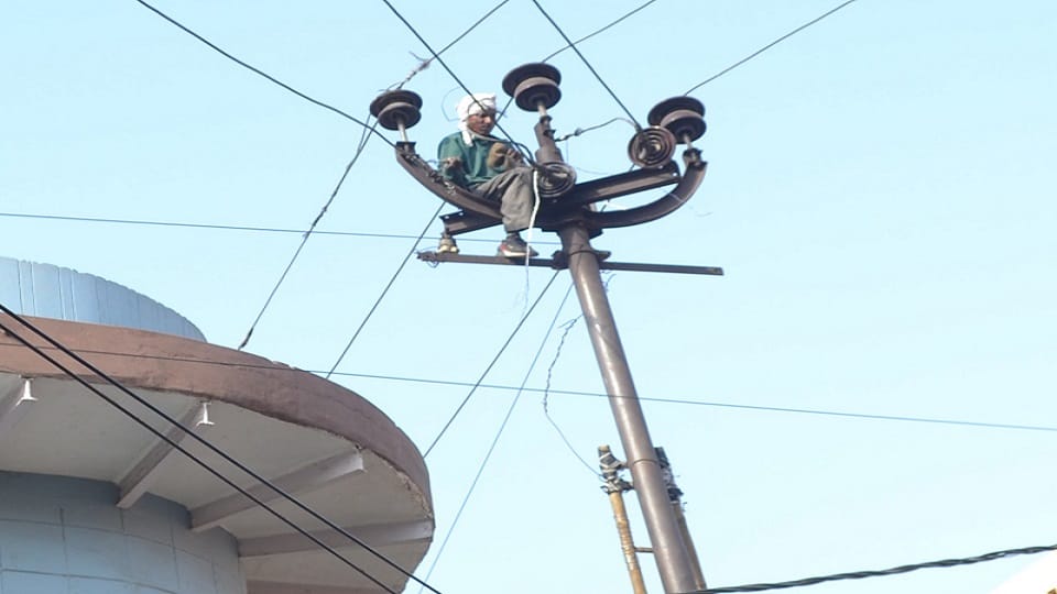 One thousand houses did not get electricity for eight hours