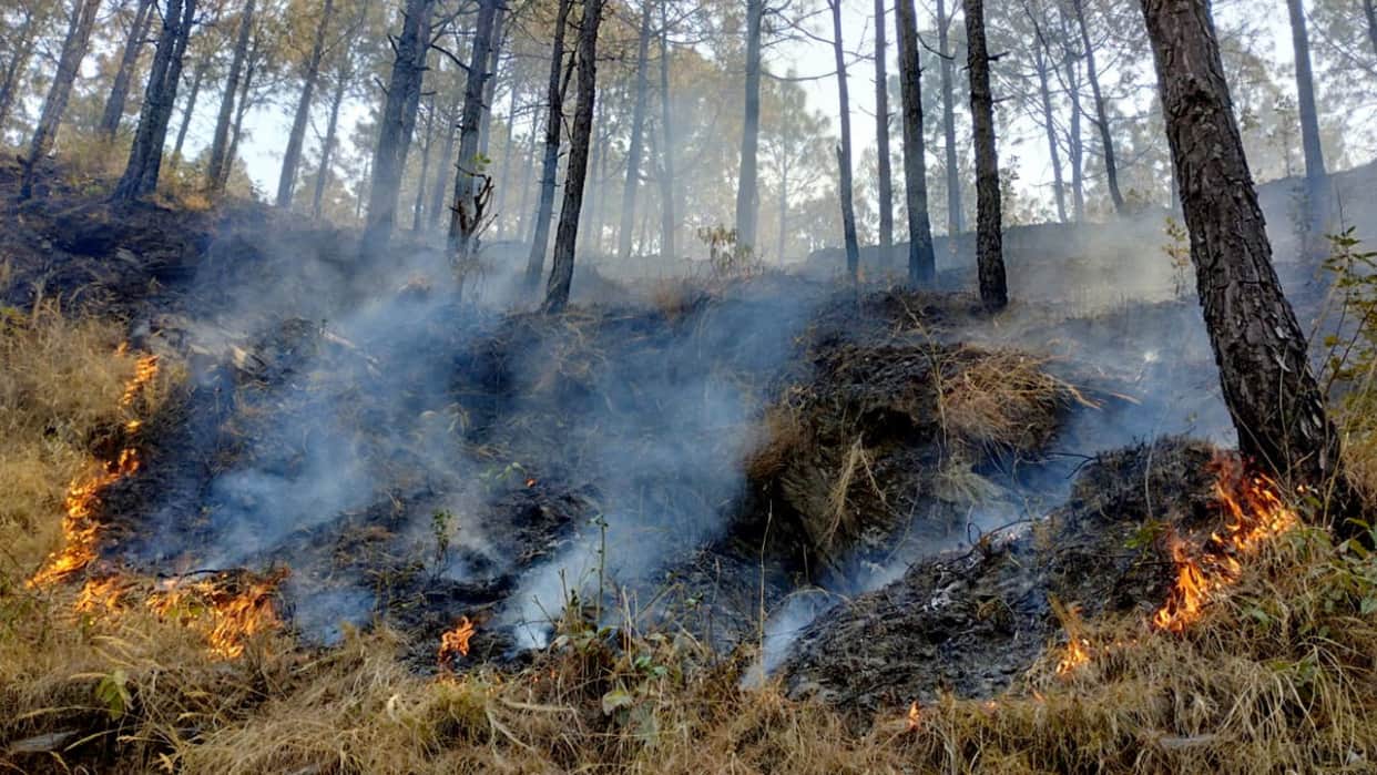 Uttarakhand Forest Burning Seven including Nepali laborer caught setting fire in forest Kotdwar Pauri