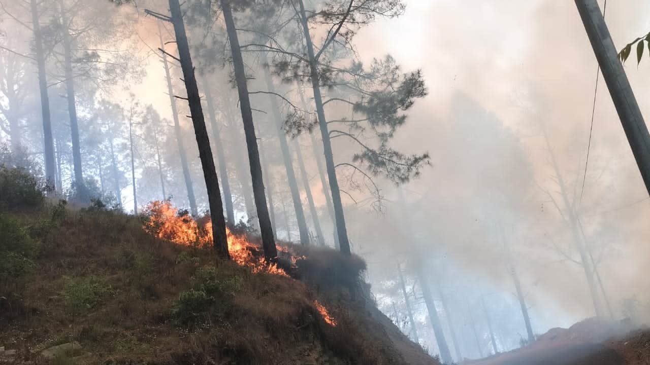 Uttarakhand Forest Burning Seven including Nepali laborer caught setting fire in forest Kotdwar Pauri