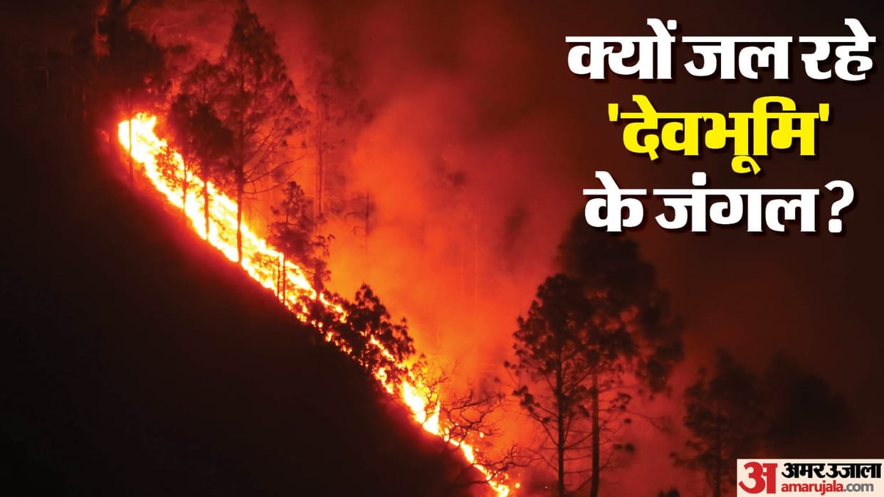 Forest Fire in Uttarakhand New cases of forest Fires Report in 31 places in last 24 hours News in Hindi