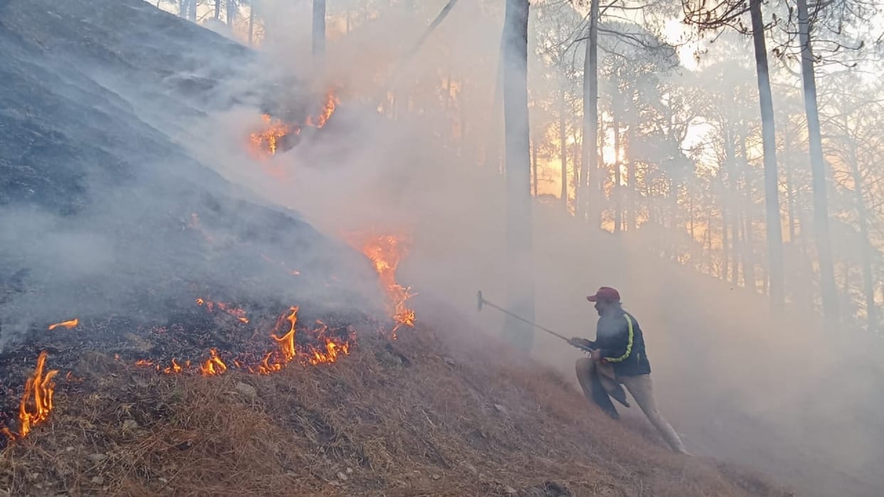 Uttarakhand Forest Fire Breaks Out in Civil Land in Gairsain, Woman and Her Husband Interrogated
