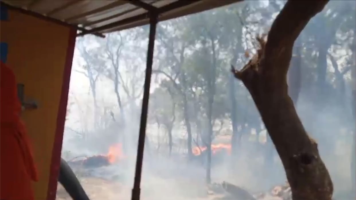 Chandauli Fire News Many trees burnt due to fire in garden