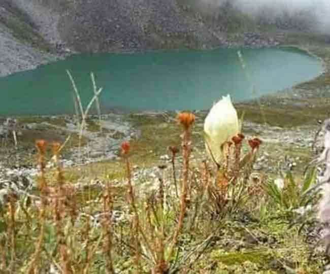 Chenap Valley on Chardham Yatra Route Amazing Destination for Enjoy trekking see Photos