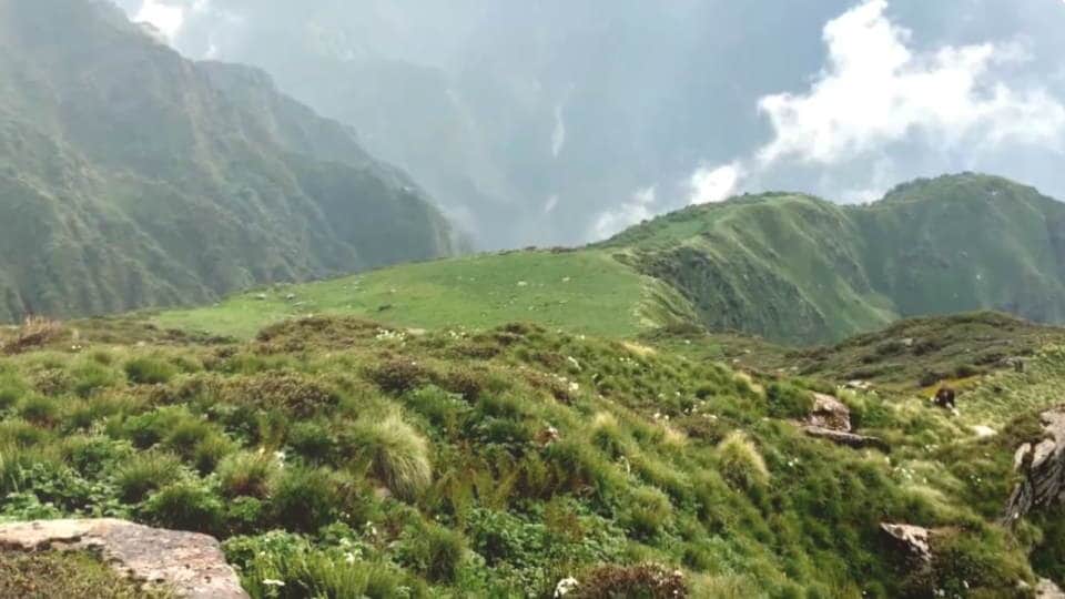 Chenap Valley on Chardham Yatra Route Amazing Destination for Enjoy trekking see Photos