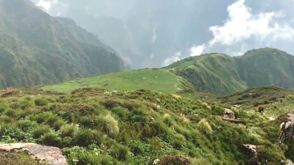 Chenap Valley on Chardham Yatra Route Amazing Destination for Enjoy trekking see Photos