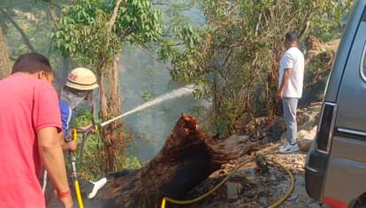 उत्तराखंड में आग का तांडव: धधकते जंगलों ने वनकर्मियों के छुड़ाए पसीने, नैनीताल में अब मोर्चे पर NDRF भी उतरी Uttarakhand Forest Fire Increase Now NDRF also came to extinguish fire in Nainital