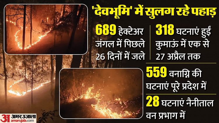 Uttarakhand Forest Fire Forest Fires In Entire Uttarakhand Including 