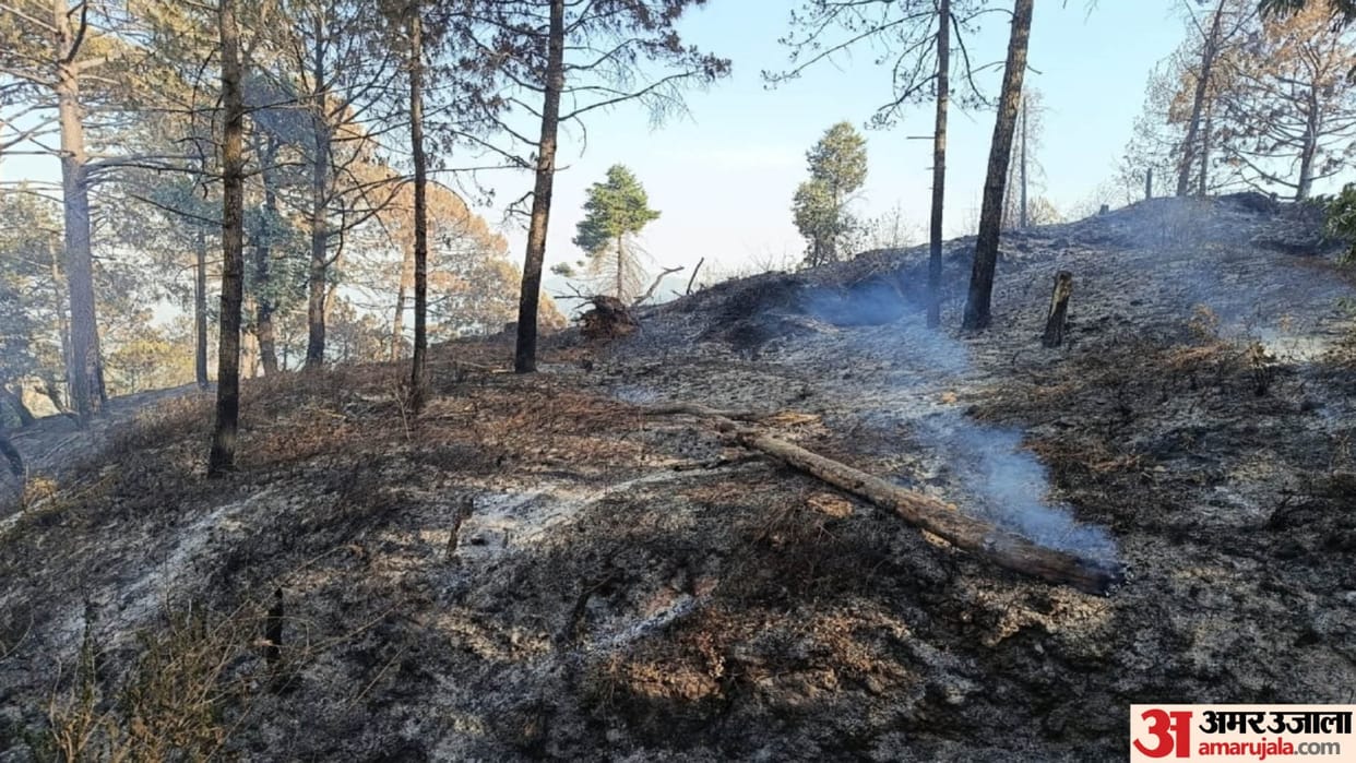 Biggest incident of forest fire occurred in Uttarakhand Read All Updates in hindi
