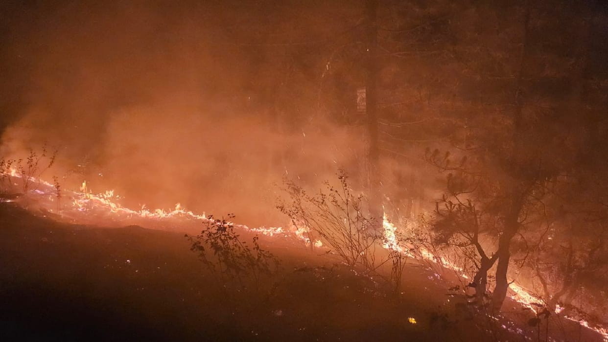 Forest Fire in Uttarakhand New Tourists returned disappointed without doing boating and paragliding
