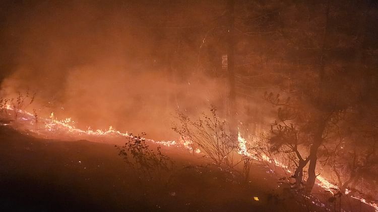 अल्मोड़ा:  जंगल की आग से 30 गांवों की नींद उड़ी