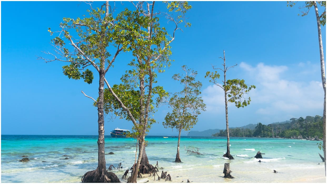 Port Blair Tourist Places Know Low Prices Best Places in Port Blair to Visit News in Hindi
