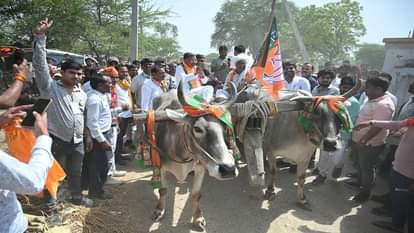 बैलगाड़ी से चुनाव प्रचार के लिए निकले भाजपा प्रत्याशी