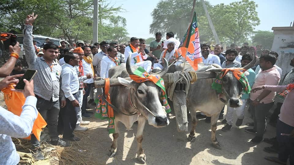 Lok Sabha Elections 2024: BJP candidates came out to campaign on bullock cart in Mulayam's stronghold