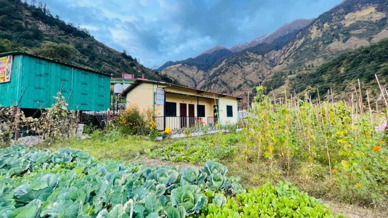 Chardham Yatra 2024 Visit Urgam Valley during Badrinath Yatra Uttarakhand News in hindi