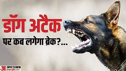 Roorkee news Terror of ferocious dogs again attacked a woman, bit her hand and injured her badly