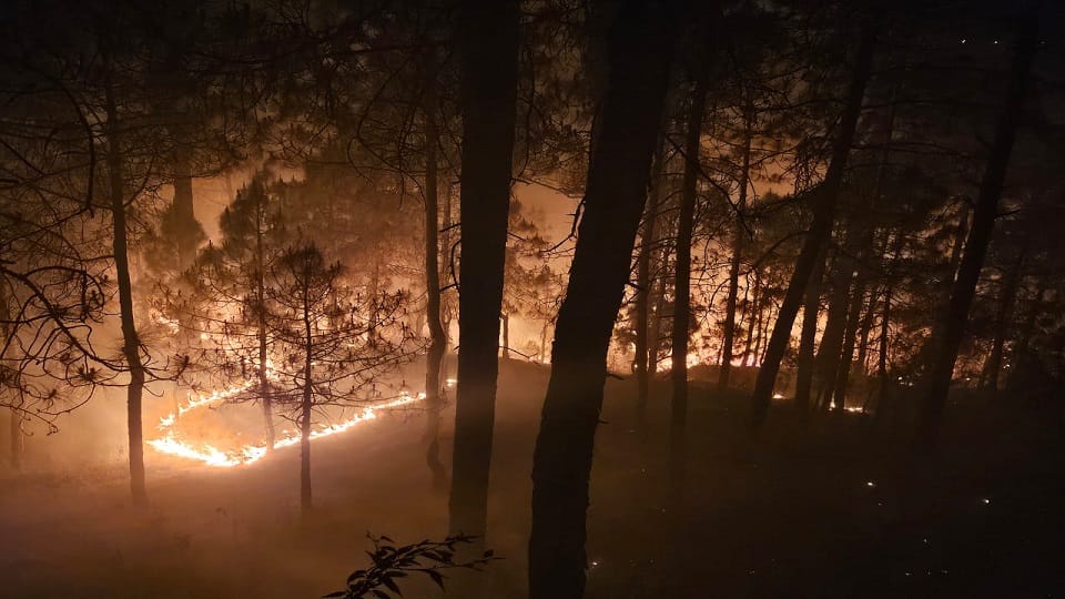 Uttarakhand Forest Fire: Impacts of forest fire on tourism in nainital