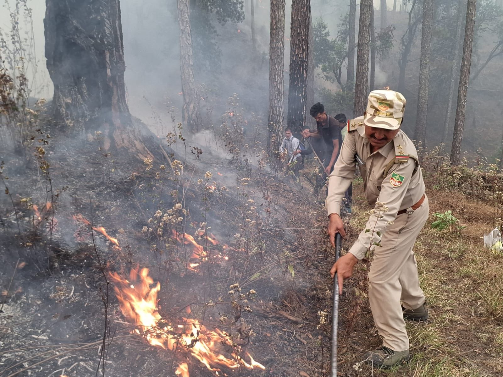 Uttarakhand Forest Burning again at 47 places, case registered against 10 more people
