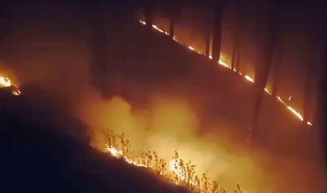 Uttarakhand Forest Burning again at 47 places, case registered against 10 more people