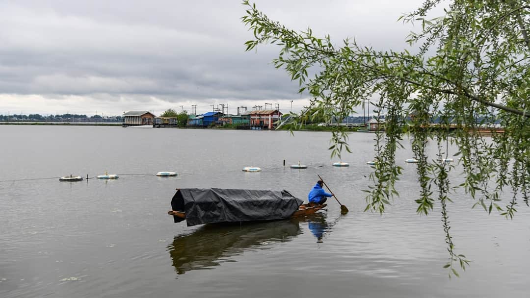 श्रीनगर में बारिश